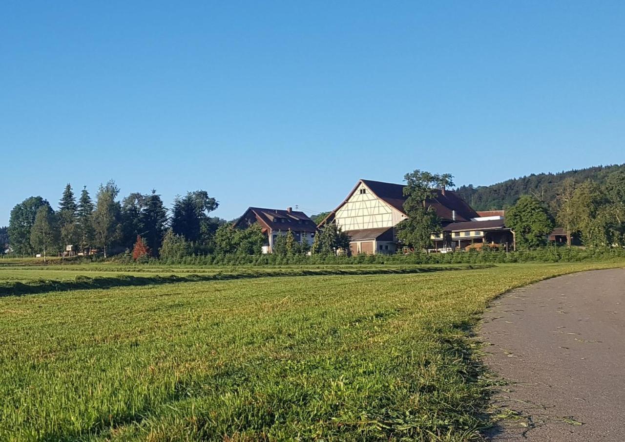 Ferienwohnung Ferienhof Hanssler Wilhelmsdorf  Exterior foto